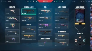 Conta Valorant Com Varias Skins, preludio, sublime e etc