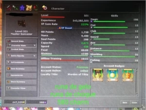 Acc Honbra MS 322 ml 106 "full set" 940 loyalty 5 meses p.a. - Tibia
