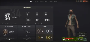 Conta Pubg/Steam - Lével 80 Com Plus Ativado!