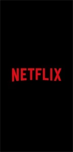 Netflix 1 ano com garantia - Assinaturas e Premium