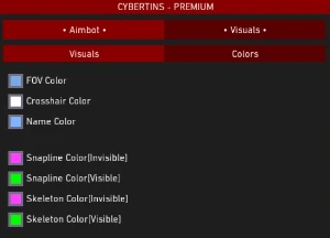 Valorant Hack Private | Cybertins 👾 - Lifetime