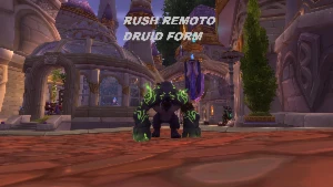 Torre dos magos / Druid form - Blizzard