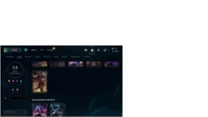 Conta league of legends platina 3 com 34 skins LOL