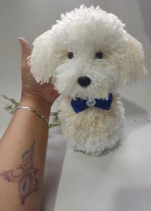 Cachorrinho Poodle - Amigurumi de Crochê - Artesanato e Personalizados