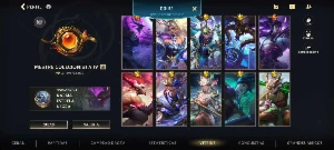 Conta de wild com 10 míticas e 310 Skins no total