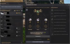 BDO Arqueiro 279 pa niv63 - Black Desert