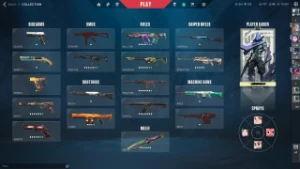 Conta Valorant Radiante Full Acesso Muita Skin Mmr Radiante