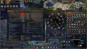 Conta Black Desert - Outros