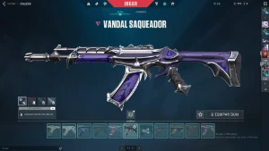 conta valorant 5 mil reais gastos rank radiante