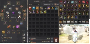 Pot de HP e Mana, Mapa do Arqueólogo e muitos itens p2w - Black Desert