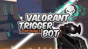 Triggerbot para valorant externo (envio automatico) 24/7 on