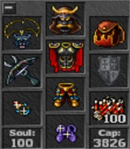 Char Tibia Royal Paladin 250 irmada (pvp)