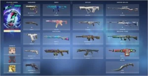 CONTA VALORANT, MAIS DE 1200 R$ EM SKINS + CONTA LOL