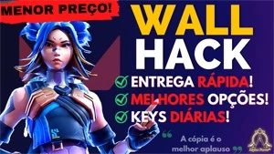 ✨ [PRIVADO] VALORANT - WALLHACK ✨