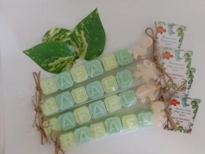 6 Letras com Dino - no Tule e Cizal - Artesanato e Personalizados