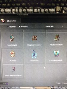 Sorcerer 300+ PvP - Tibia