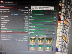 Sorcerer 300+ PvP - Tibia