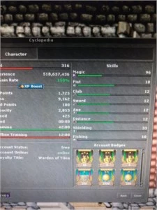 Sorcerer 300+ PvP - Tibia