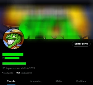 Página do Twitter - Alto Engajamento e Seguidores - Redes Sociais