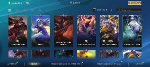 Conta Wild Rift com 38 Skins— Inclui Skins Raras e exclusiva - League of Legends: Wild Rift LOL WR