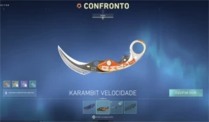 Conta Valorant +1100 gastos muitas skins