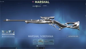 Conta Valorant +1100 gastos muitas skins