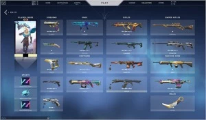 Conta Valorant (44 Skins compradas e + de 150 Skins total)