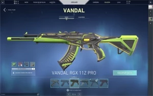 CONTA VALORANT PRATA 2 COM SKINS