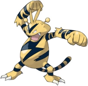 Electabuzz +50 no PXG Servidor Sapphire - PokeXGames