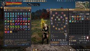 Melhor Conta Bdo End Game Steam - Black Desert