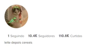 Conta TIKTOK |10k seguidores|110k likes|1.4M views - Redes Sociais