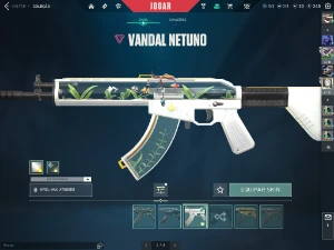 Conta Valorant Com Varias Skins No Precinho