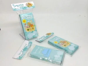 Mini Lápis de Cor com Caixa Safari 6 Cores - Artesanato e Personalizados