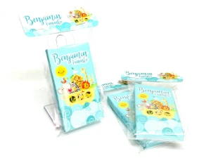Mini Lápis de Cor com Caixa Safari 6 Cores - Artesanato e Personalizados
