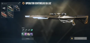 conta VALORANT ex ouro 2 com skin -  R$1000 GASTO - KURONAMI