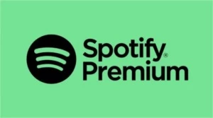 Spotify Premium (Permanente)