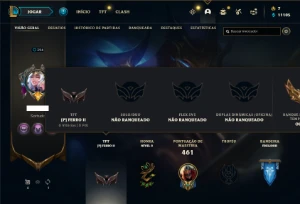 Conta Unranked com TODOS os champs e 261 skins - League of Legends LOL