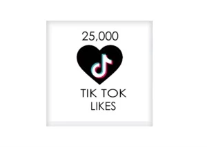 Perfil no TikTok com mais de 25k - Redes Sociais