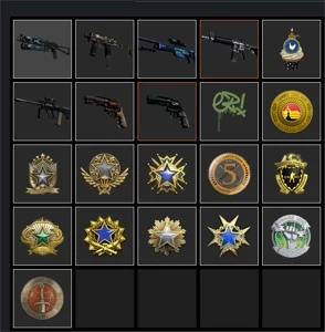 CONTA CSGO - 13 MEDALHAS - 6.9K HORA JOGO + INFO NA DESCRI - Counter Strike