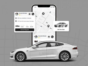 Aplicativo/Uber/Mini Franquia 10Un - Others