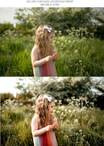 Presets / Filtros de Fotos (Lightroom – Celular) - Others