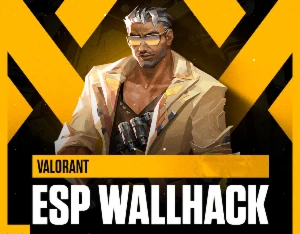 Valorant ESP/Wallhack [KEYS]