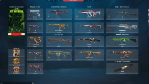 Contas valorant Skin
