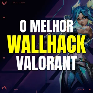 Wallhack Valorant (Esp) Private