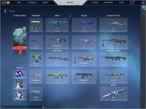 Conta com skin Valorant