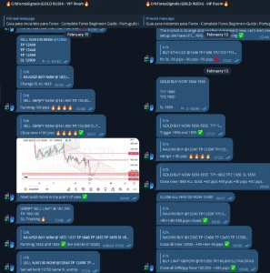 GRUPO DE SINAIS (GOLD RUSH) (ASSINATURA 12 MESES) - Outros