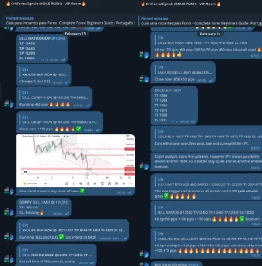 GRUPO DE SINAIS (GOLD RUSH) (ASSINATURA 12 MESES) - Outros