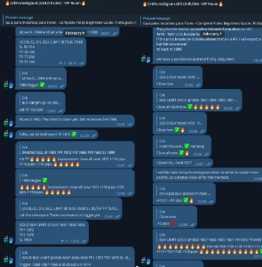 GRUPO DE SINAIS (GOLD RUSH) (ASSINATURA 12 MESES) - Outros