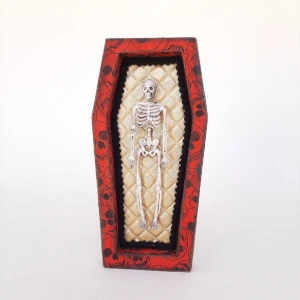 Quadro Box Esqueleto - Artesanato e Personalizados