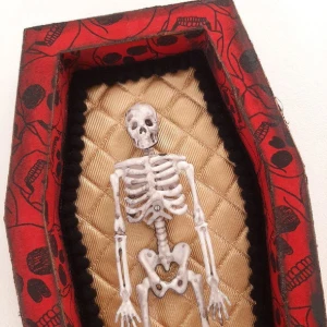 Quadro Box Esqueleto - Artesanato e Personalizados